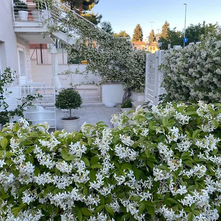 B&b125metrisulmare San Michele