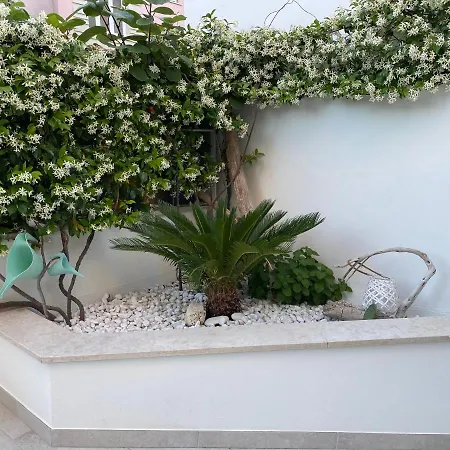 B&b125metrisulmare San Michele Bed & Breakfast Sirolo